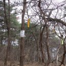 용산-244 이미지