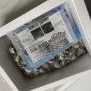 역전꼬막 이미지