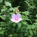 송촌생활체육공원(4) 이미지