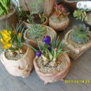 산유화농장 이미지