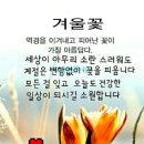 세상에서 가장 슬픈 시구 이미지