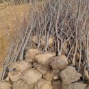 비봉슈퍼 이미지