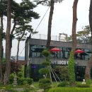 카페로코 - 안양시 동안구 동안로 13 | 카페로코