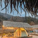 야자수펜션 이미지