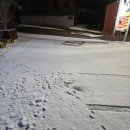 아재갈비찜 | 상주 소선정 한식 맛집 | 가성비 좋은 한정식 더덕 두루치기 + 갈비 김치찜 ( 내돈내산 ) 후기