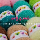 숲속부엉이