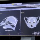 웨스턴5빌딩 이미지