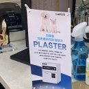 수락 동물병원 이미지