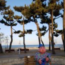 동상아람농장 | 올 겨울 우리끼리 떠나는 번개여행 - 바다와 함께한 한겨울 강릉여행 ♡