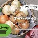 배추된장국 끓이는법 알배기배추된장국 레시피 국 종류. 이미지