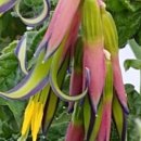 잡학다식 이미지