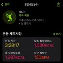 남양주코끼리