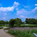 천문공원 이미지