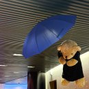 해피스크린 | 뮤지컬 어쩌면 해피엔딩 후기 알고 봐도 또 슬퍼요 251221 전성우 박지연 박세훈