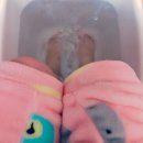 성수장여관 이미지