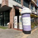 까로치아안중점 이미지