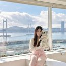 풀스테이 조이풀8 | 부산 풀빌라 광안대교 야경 오션뷰 숙소 씨스테이 애견동반 후기
