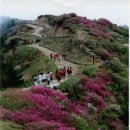 천왕봉민박 이미지