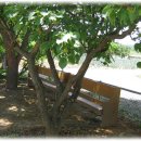 대명장로교회 이미지