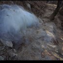 베델농장 이미지