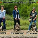 우리켄넬 이미지