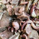 오늘밥상 | 코스트코 쇼핑템으로 만든 오늘의 밥상, 갈낙탕 후기