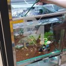 주식회사 비엠코리아 이미지