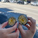 김밥의신 - 사천시 | [강릉 맛집] 김밥의신 토요일 전화 예약, 픽업 후기