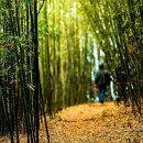 한영민박 이미지