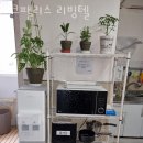 오크팰리스리빙텔