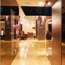 탑성형외과의원 이미지