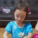 주홍김밥 이미지