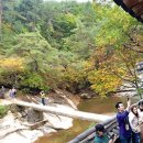 찜닭마을 이미지