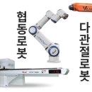 유일 이미지
