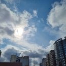 신황우동 네이버블로그