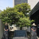 마레보비치호텔 | 곽지해수욕장 숙소 제주 마레보비치호텔 :: 에메랄드빛 바다 앞 감성 호텔