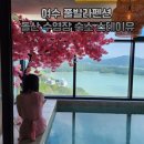 스테이유 | 여수 풀빌라펜션 돌산 수영장 숙소 스테이유