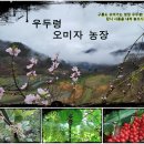 새순농장 이미지