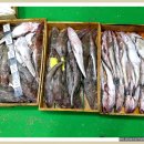 고금4호 이미지