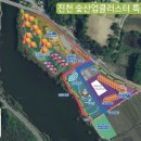 진천참숯 이미지