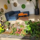 햇살온담 이미지