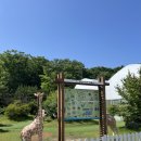 마켓무 수지동천점 | 경기도 용인 아기랑 피크닉 텐트 오픈런 동천자연식물원