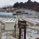 별빛민박농원 이미지