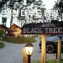 수림조경，꽃내음있는곳 | 인천 대부도 글램핑 "아이와 힐링 제대로" 블랙트리 캠핑