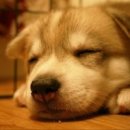 당구25클럽 이미지