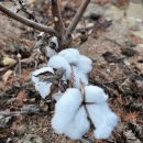 담숨 | [영천 카페] 영천 치유농장카페 숲속에서 힐링할 수 있는 ‘담숨’