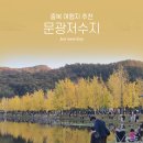 문광초등학교 | [국내여행/충북] 괴산 단풍명소 &#34;문광저수지 은행나무길&#34;