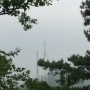 모두마니로 이미지