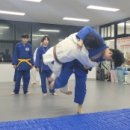 중앙동 행정복지센터 2층 | 안산유도, 운동 고민 끝! 안산시민유도관이 왜 '입소문 성지'인지 알려드립니다.