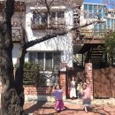 하늘이네 이미지